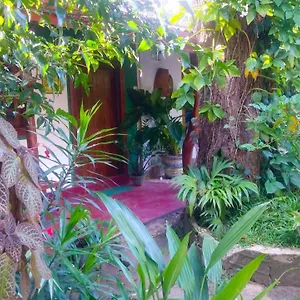 Gangula Eco Privatunterkunft Sigiriya